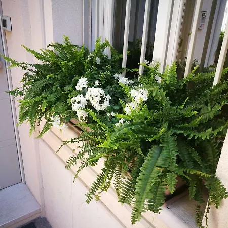 Bed & Breakfast Officina Tesini Guest 3*
