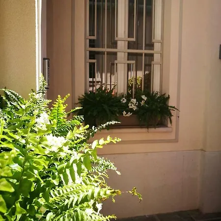 Bed & Breakfast Officina Tesini Guest